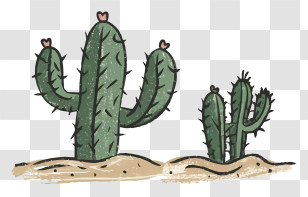 Cactus Plant - Cartoon Cacti In Desert Scene Transparent PNG