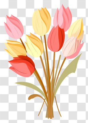 Tulips - Colorful Tulip Flower Bouquet Transparent PNG