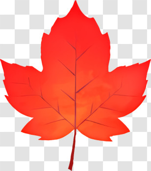 Icon - Bright Red Maple Leaf Illustration Transparent PNG