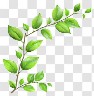 Leafs - Green Leaves On A Branch Illustration Transparent PNG