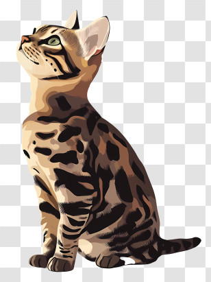 Bengal Cat - Sitting Cat Illustration Transparent PNG