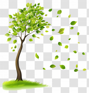 Flying Leaf - Tree With Green Falling Leaves Illustration Transparent PNG