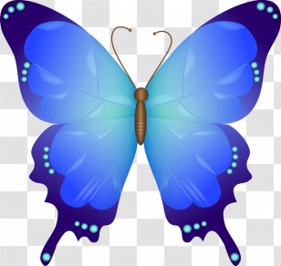 Sticker Label Plastic Clothing Tyvek - Moths And Butterflies - Meng Clipart Transparent PNG