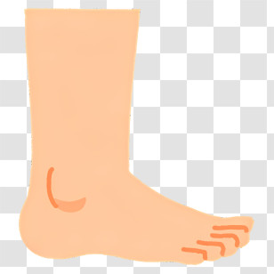 Foot - Illustration Of A Human Foot Transparent PNG