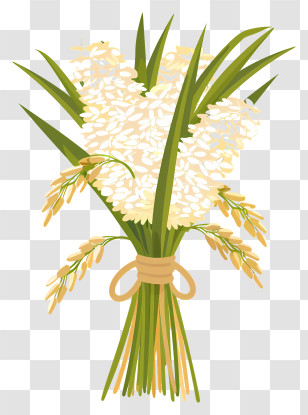 Sheaf Of Rice - Paddy Rice Bouquet For Harvest Seasons Transparent PNG