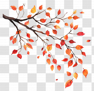 Fallen Leaves - Tree Branch With Autumn Leaves Illustration Transparent PNG