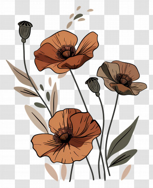 Poppy Flowers - Artistic Illustration Of Poppy Flowers Transparent PNG