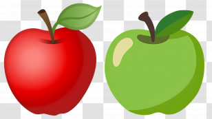 Apple - Red And Green Apples Illustration Transparent PNG
