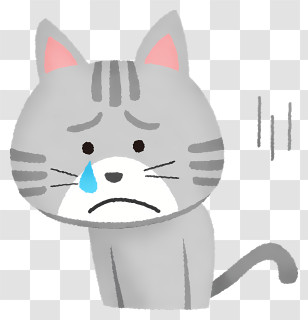 Icon - Sad Cat With A Tear Transparent PNG