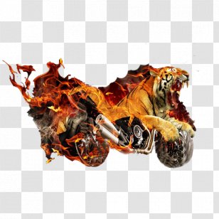 Tiger Motorcycle - Designer Transparent PNG