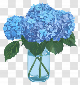Blue Hydrangea Flower - Blue Hydrangea Flowers In Vase Transparent PNG