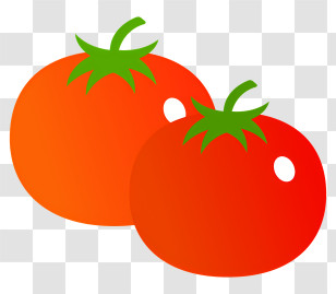 Vegetable - Fresh Red Tomatoes Illustration Transparent PNG