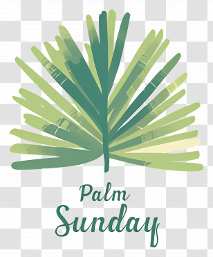 Palm Sunday - Palm Leaf For Palm Sunday Celebration Transparent PNG