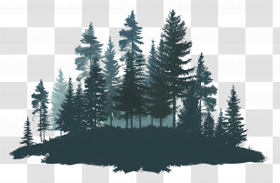 Forest Landscape - Silhouette Of Pine Trees In Forest Transparent PNG