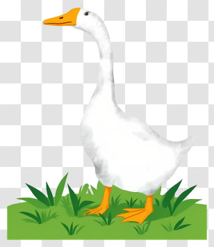 Goose - White Goose Standing On Grass Transparent PNG