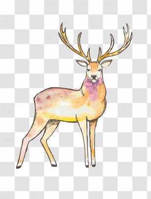 Reindeer Elk Red Deer Moose - Painted Pattern Transparent PNG