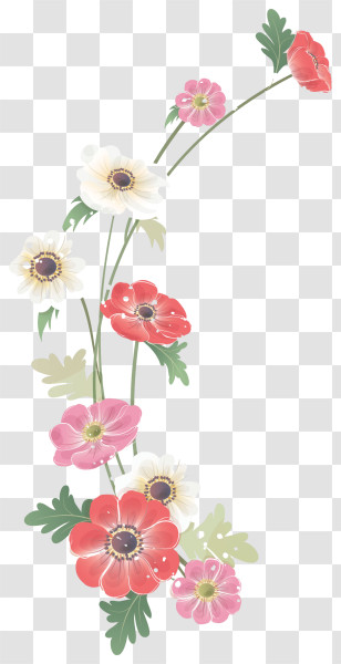 Flower Line - Colorful Wildflowers In Delicate Illustration Transparent PNG
