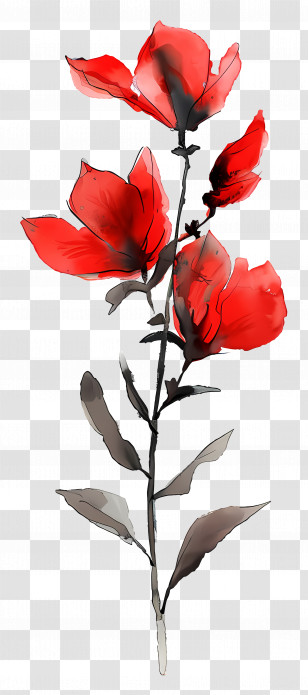 Watercolour Flowers - Red Floral Watercolor Art Painting Transparent PNG