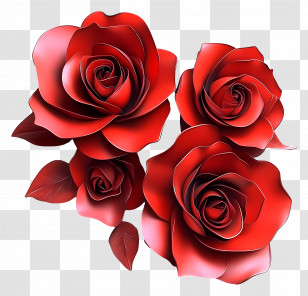 Valentines Day Roses - Beautiful Red Roses Transparent PNG