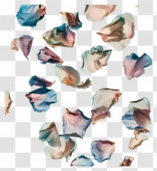 Falling Rose Petals - Colorful Petals Scattered Transparent PNG