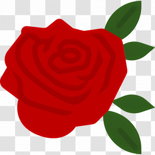 Red Flower - Red Rose Illustration For Floral Design Transparent PNG
