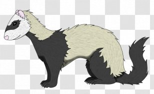 Ferret Cat Mustelinae Mammal Carnivora - Pet Transparent PNG