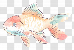 Cartoon Fish - Watercolor Goldfish Art For Decorations Transparent PNG