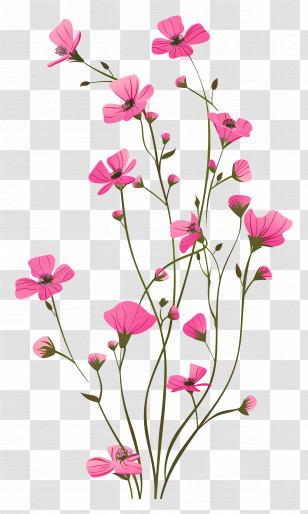 Pink Flowers - Beautiful Pink Wildflowers Illustration Transparent PNG