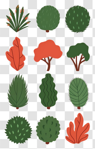 Trees - Collection Of Tree And Bush Illustrations Transparent PNG