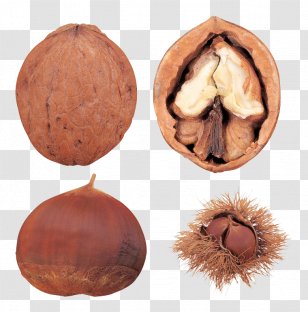Chinese Chestnut Walnut Peanut - Ingredient - Photos Transparent PNG
