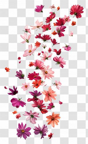 Falling Flowers - Beautiful Pink And Purple Flowers Transparent PNG