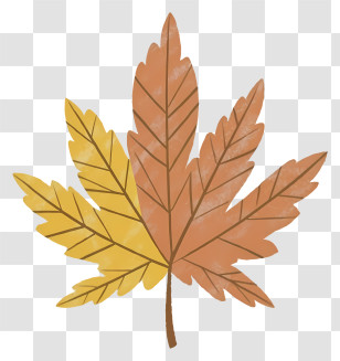Maple Leaf - Autumn Maple Leaf In Warm Tones Transparent PNG