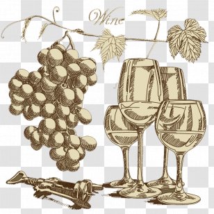 Wine Glass Grape - Retro Vintage Hand-painted Background Vector Material Transparent PNG