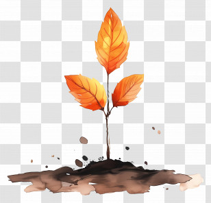Autumn Leaf On Soil - Young Plant Sprouting With Orange Leaves Transparent PNG