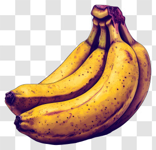 Banana - Bunch Of Ripe Bananas Illustration Transparent PNG