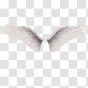 Alas Software - Wing - A Pair Of White Wings Transparent PNG