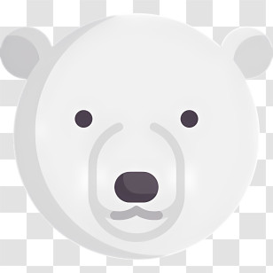 Bear Head - White Bear Cartoon Illustration Transparent PNG