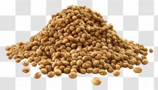 Soy Beans - Pile Of Soybeans Transparent PNG