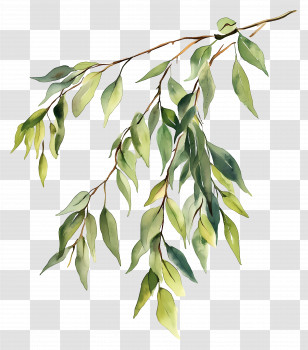 Leaf Painting - Branch With Green Leaves Transparent PNG