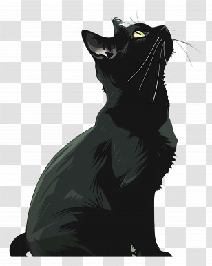 Black Cat - Black Cat With Yellow Eyes Illustration Transparent PNG