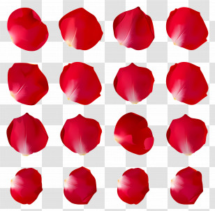 Flower Petals - Red Petals For Romantic Decor Transparent PNG