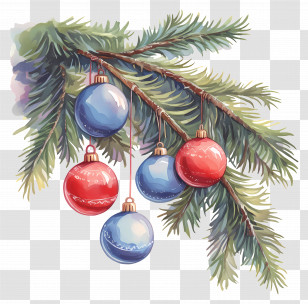 Christmas Balls On A Branch - Festive Christmas Ornaments On Pine Branch Transparent PNG