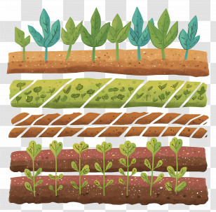 Farm Field - Cartoon Rows Of Growing Plants Transparent PNG