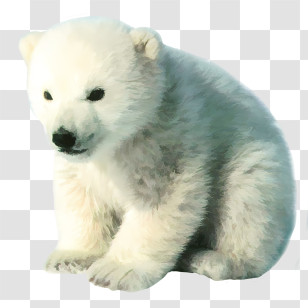 Bear Logo - Adorable Polar Bear Cub Illustration Transparent PNG
