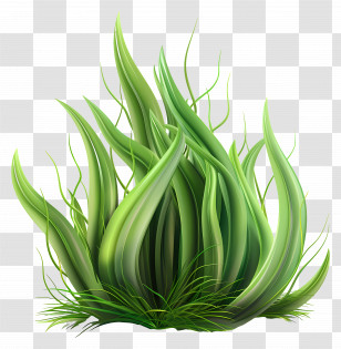 Grass Plant - Lush Green Grass Transparent PNG