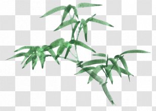 Bamboo Cartoon Drawing - Art - Ink Transparent PNG