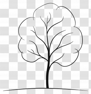 Tree - Simple Line Drawing Of A Tree Transparent PNG