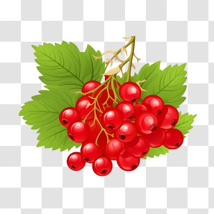 Red Cranberries - Close-Up Of Red Currant Berries With Green Leaves Transparent PNG