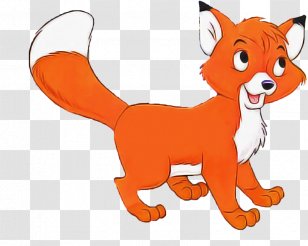Orange - Snout - Fox Transparent PNG
