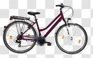 Hybrid Bicycle Mountain Bike Giant Bicycles Raleigh Company - Singlespeed - Tire-pressure Gauge Transparent PNG